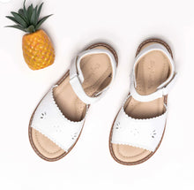 Load image into Gallery viewer, ELEPHANTITO CLASSIC WHITE W/SCALLOP