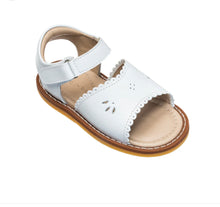 Load image into Gallery viewer, ELEPHANTITO CLASSIC WHITE W/SCALLOP