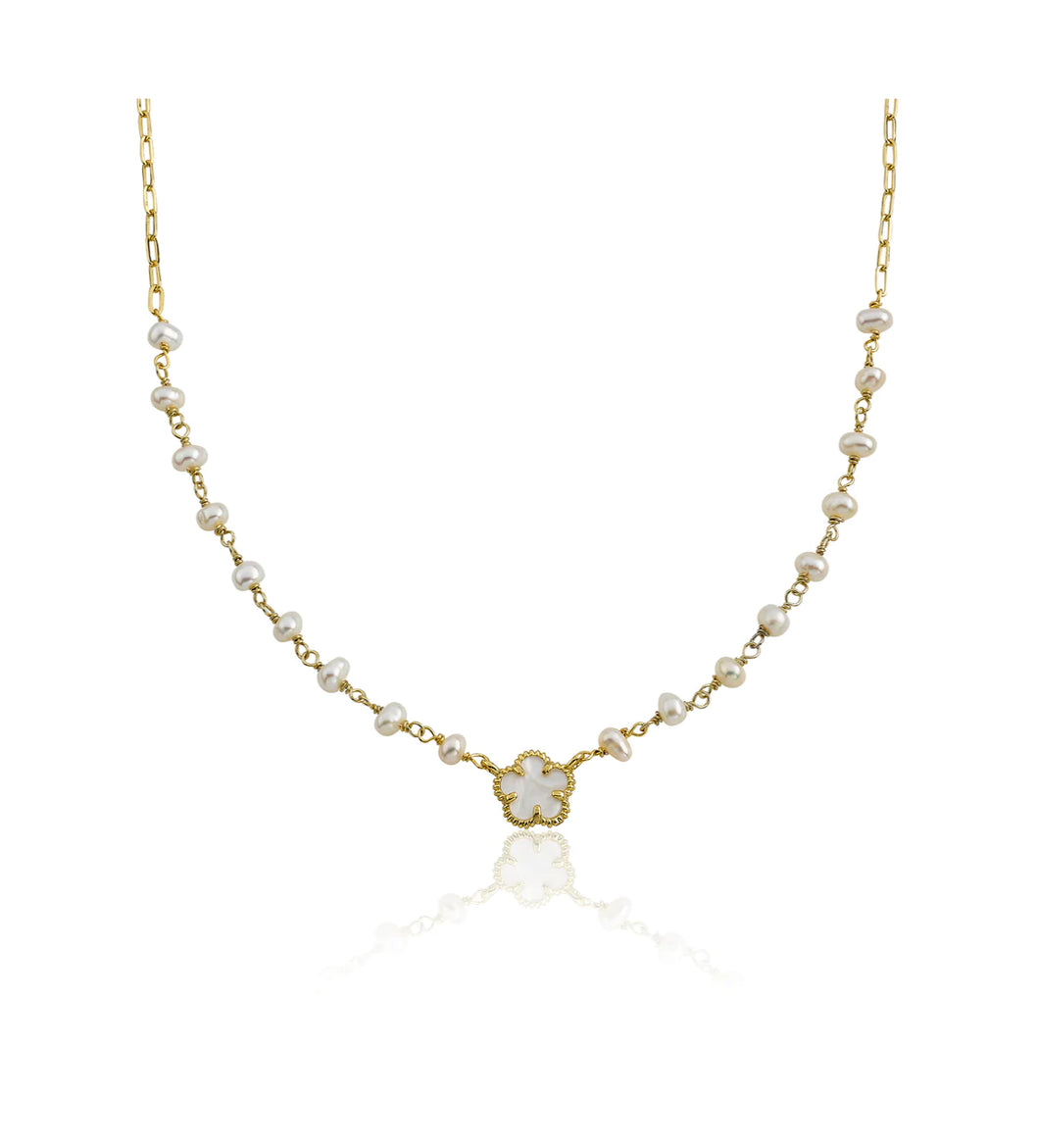 MOLLY GLITZ NE4713B