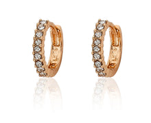 Load image into Gallery viewer, MOLLY GLITZ SMALL HUGGY EARRING ER4623B
