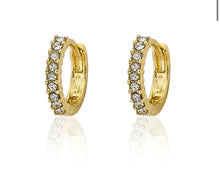 Load image into Gallery viewer, MOLLY GLITZ SMALL HUGGY EARRING ER4623B

