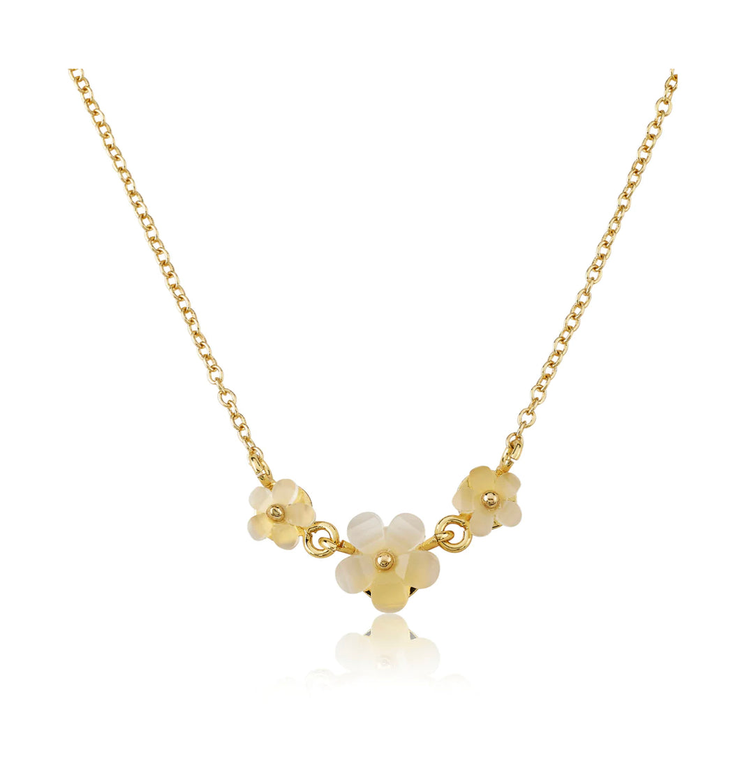 MOLLY GLITZ NE4513B
